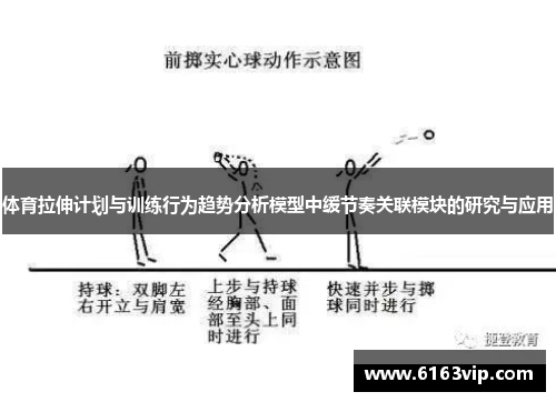体育拉伸计划与训练行为趋势分析模型中缓节奏关联模块的研究与应用
